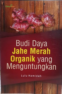 Budi Daya Jahe Merah Organik yang Menguntungkan